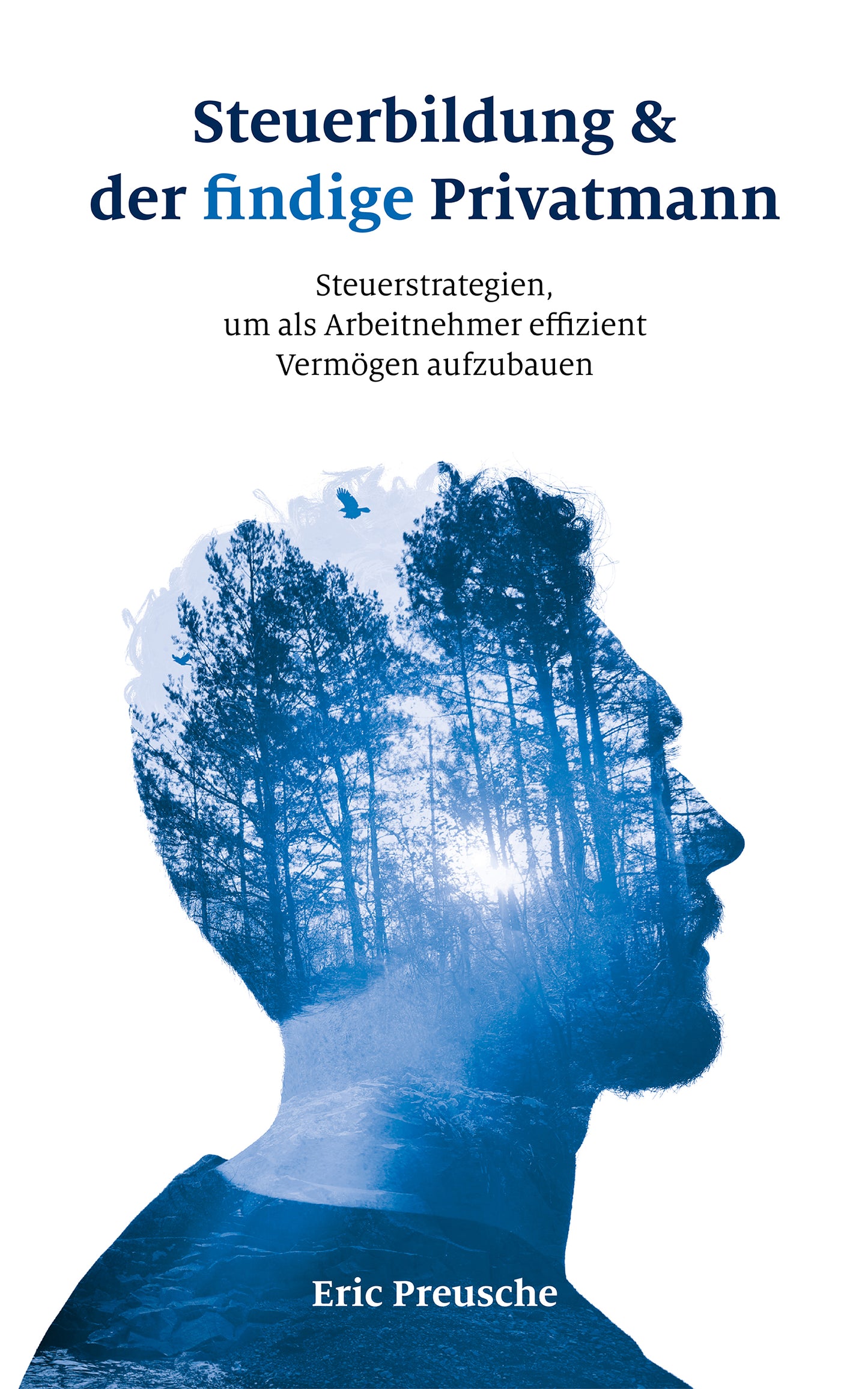 eBook: Steuerbildung & der findige Privatmann